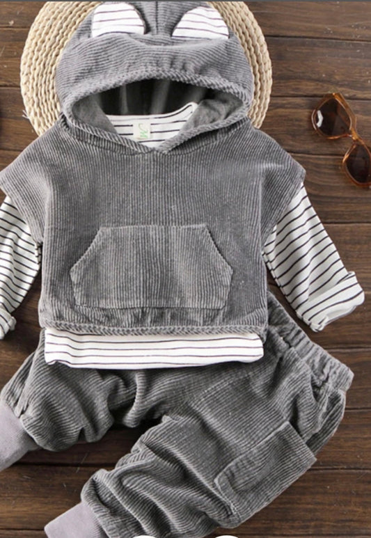 3 piece sweat shirt & hoodie  & pant set